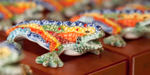 esp-drac-novell-2017-300px